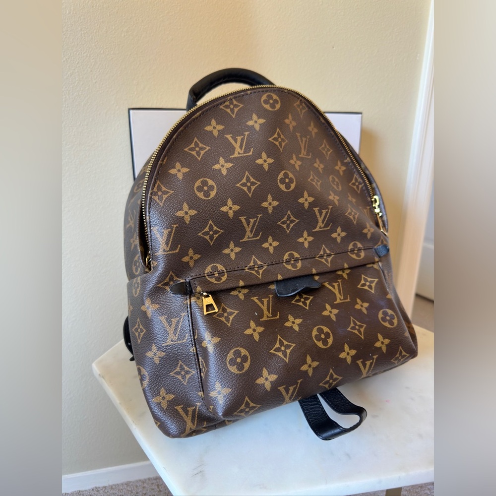 Louis Vuitton Backpack Used Like New MM